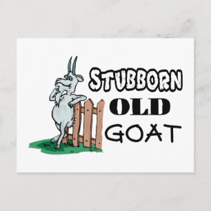 Stubborn Old Goat Vykort