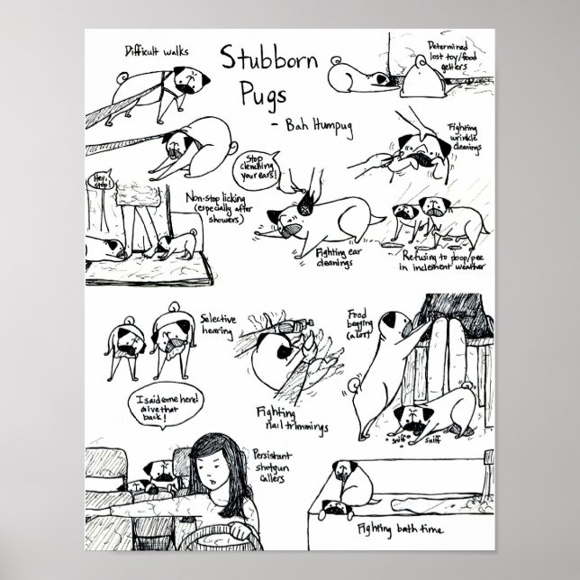 Stubborn Pugs Poster (Framsidan)