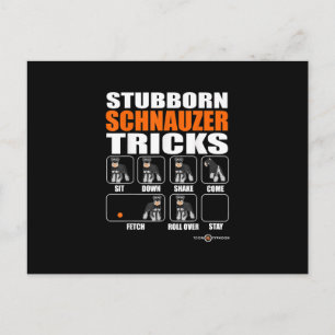 Stubborn Schnauzer Tricks Funny Schnauzer Gift Meddelande Vykort