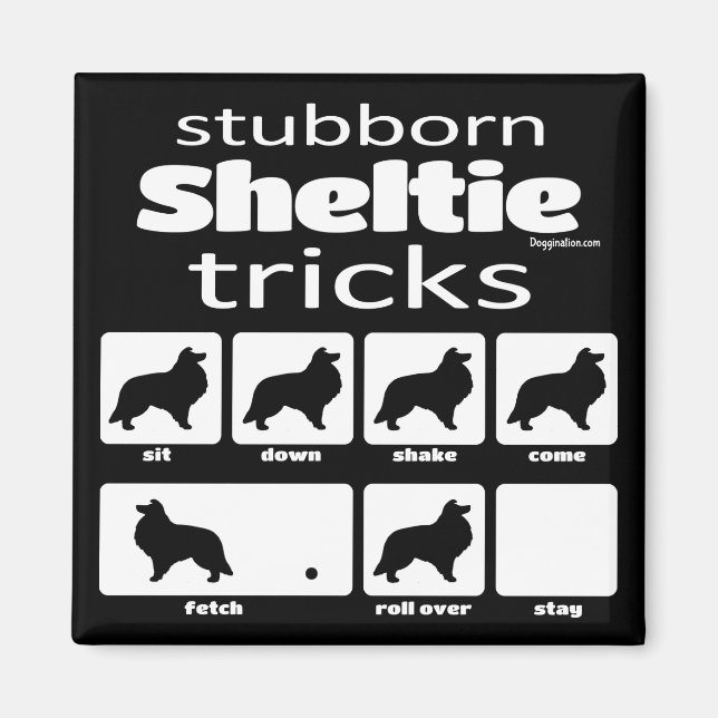 Stubborn Sheltie Tricks Magnet (Framsidan)