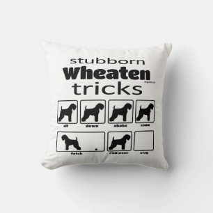 Stubborn Wheaten Tricks Kudde
