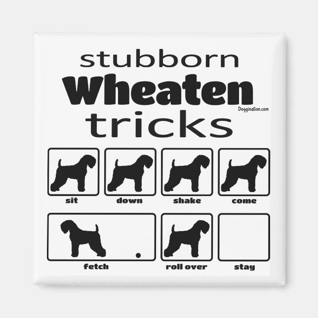 Stubborn Wheaten Tricks Magnet (Framsidan)