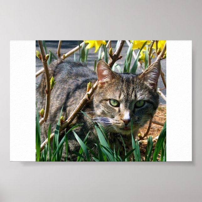 Stubby Poster (Framsidan)