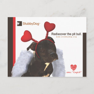 StubbyDog Valentine #2 Helg Vykort