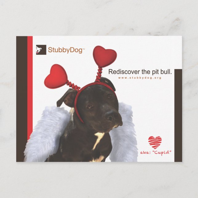 StubbyDog Valentine #2 Helg Vykort (Framsida)