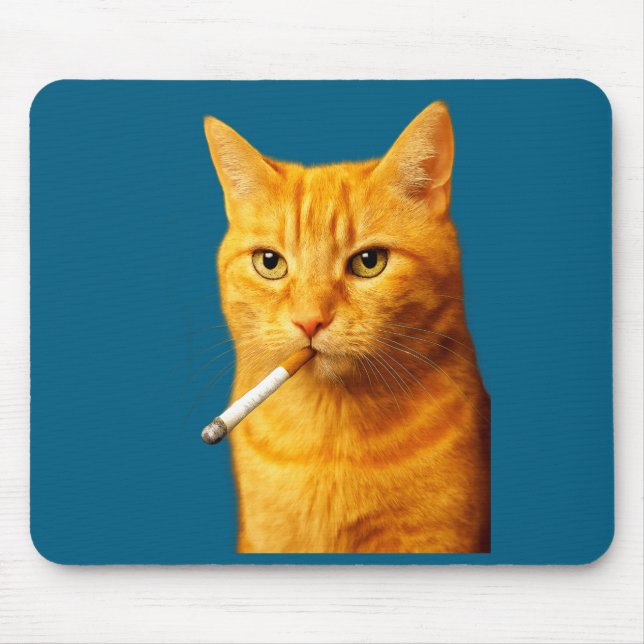 Stud Cool Funny Cat Meme Smoking Cat Cigarette  Musmatta (Framsidan)