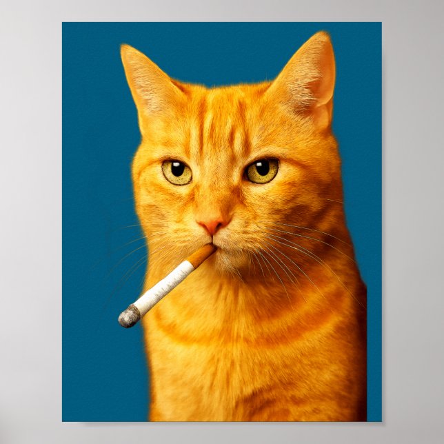 Stud Cool Funny Cat Meme Smoking Cat Cigarette  Poster (Framsidan)