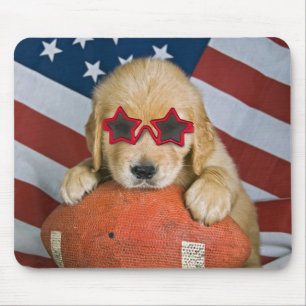 Stud med stjärnstudieled musmatta