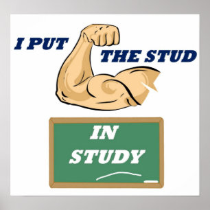 Stud Study Fullt Poster