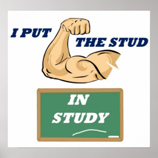 Stud Study Fullt Poster