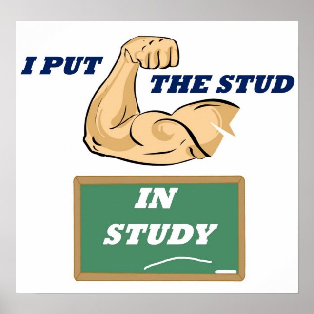 Stud Study Fullt Poster (Framsidan)