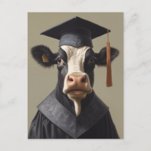 Student Cow Vykort