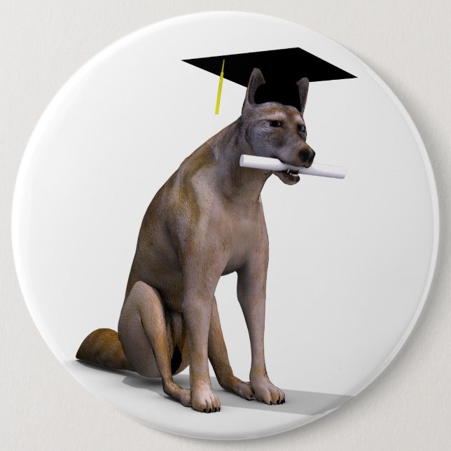 Student Coyote Knapp (Framsida)
