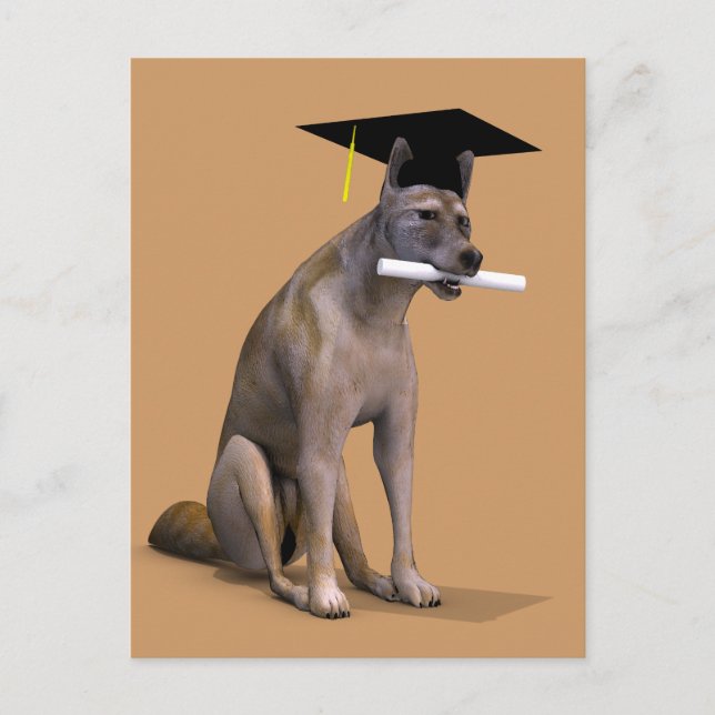 Student Coyote Meddelande Vykort (Framsida)