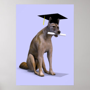 Student Coyote Poster