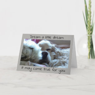 **STUDENT** DREAM IT OCH IT KAN SANT KOM KORT