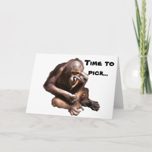 Student & Examen: Dags att Plocka ditt kollegium Kort