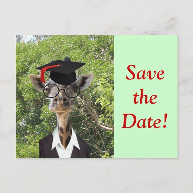 Student Giraffe Red Tassel Meddelande Vykort (Framsida)