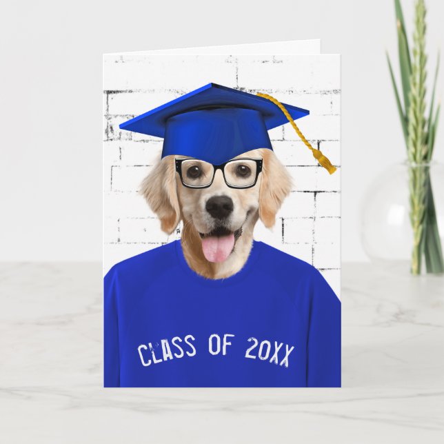 Student Golden Retriever med blå tak Kort (Framsida)
