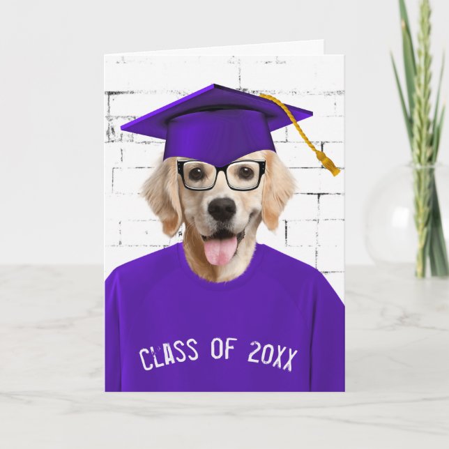 Student Golden Retriever med Lila Cap Kort (Framsida)