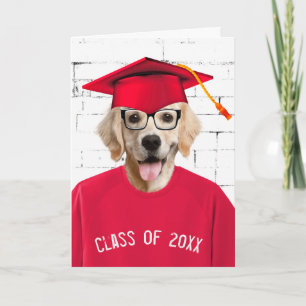 Student Golden Retriever med rött tak Kort