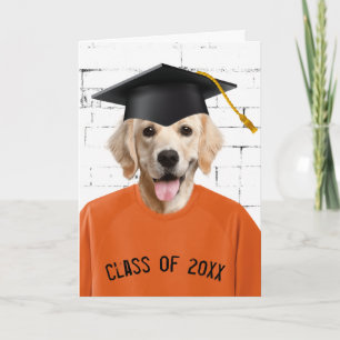 Student Golden Retriever Orange T-shirt Kort
