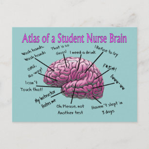 Student Nurse Gifts Vykort
