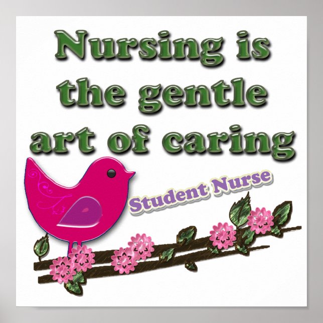 Student Nurse Poster (Framsidan)