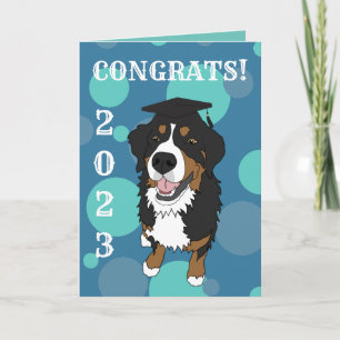 Studenten Bernese Mountain Hund Card Kort