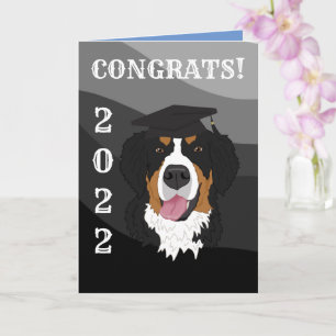 Studenten Bernese Mountain Hund Kort