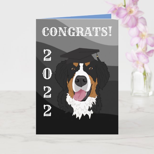 Studenten Bernese Mountain Hund Kort (Orkide)