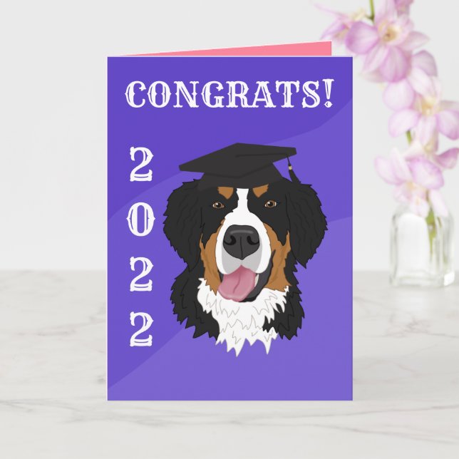 Studenten Bernese Mountain Hund Kort (Orkide)