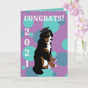 Studenten Bernese Mountain Hund Kort