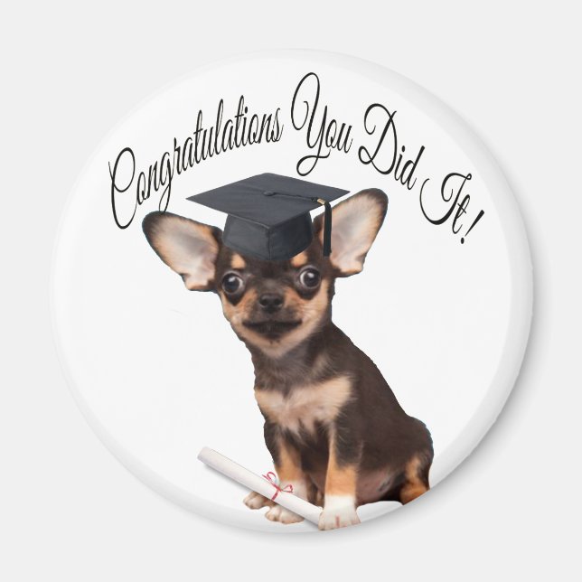 Studenten Chihuahua hund magnet (Framsidan)