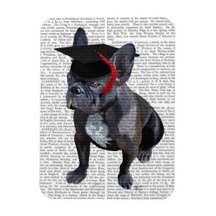 Studenten Fransk Bulldog Magnet