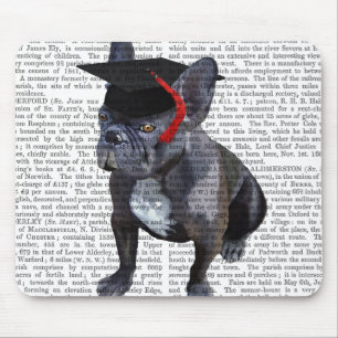 Studenten Fransk Bulldog Musmatta