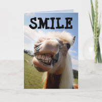 STUDENTEN FUNNY HORSE SMILE GRATULERAR CARDS