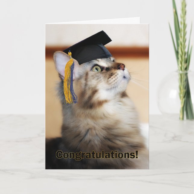 Studenten Grattis Cat Wortarboard Kort (Framsida)