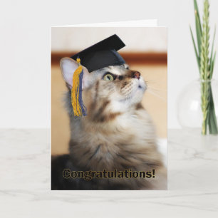 Studenten Grattis Cat Wortarboard Kort