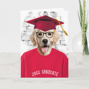 studenten gyllene hämtare i röd t-shirt kort