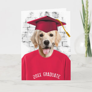 studenten gyllene hämtare i röd t-shirt kort