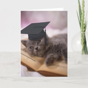 Studenten katt med hatten kort