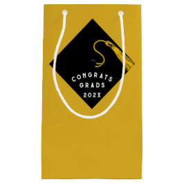 Studenten-klass för 2025 Gratulerar Small Gift-säc