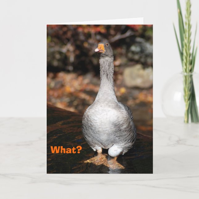 Studenten Kort (Framsida)