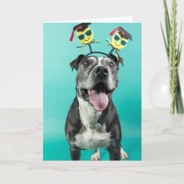 Studenten-kort Kort (Framsida)