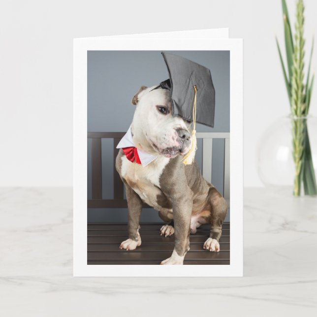 studenten-kort kort (Framsida)