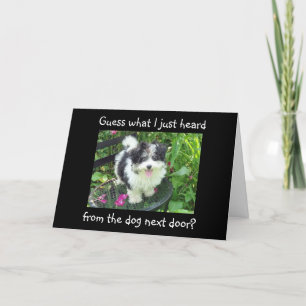 STUDENTEN ÖNSKEMÅL FRÅN HUND NÄSTA DOKUMENT KORT