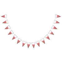 Studenten & Party Bunting Flaggor | Anpassningsbar