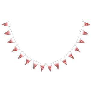 Studenten & Party Bunting Flaggor   Anpassningsbar