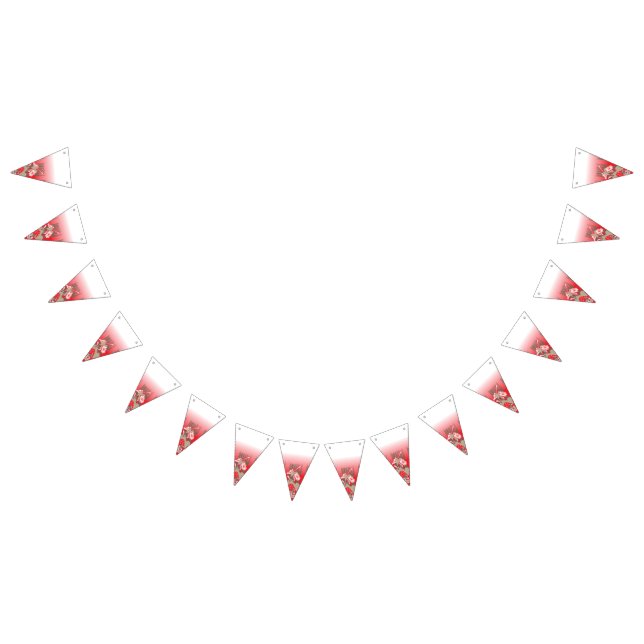 Studenten & Party Bunting Flaggor | Anpassningsbar (Alla)